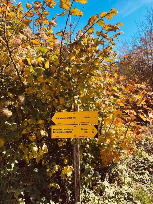 Ferienhof Am Landsberg Obergrünburg エクステリア 写真