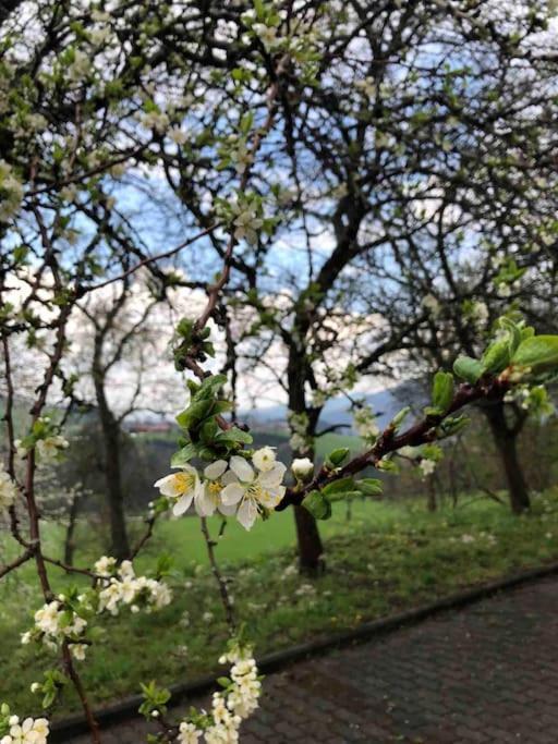 Ferienhof Am Landsberg Obergrünburg エクステリア 写真